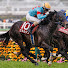 Km6JpHKYINo-channel-avatar-♥競馬♥NEWスポーツニュース