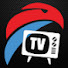 fOfdBXBSasE-channel-avatar-TheDriveZone