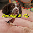 IJDfyP0epaM-channel-avatar-Gundog & Fly