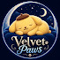 mxOrbgDN4m4-channel-avatar-Velvet Paws