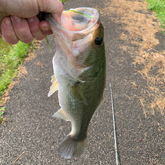 Roy Blackwell Jr the bass fisherman