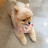 @붕붕이-r2l