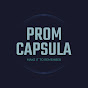 CAPSULA TIMPULUI logo