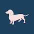 pk-njPkjCnk-channel-avatar-The Canine Story