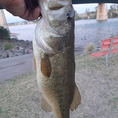 R.B WIL FISHING