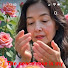 nj2p4bdHc0M-channel-avatar-Shabby Rose Cottage