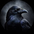 thMJ8Yl8ASw-channel-avatar-InternationalCrow22