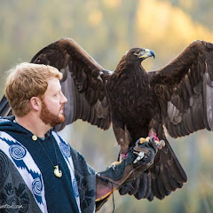 Falconry Ben Woodruff Avatar