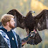 7HvAZtCo43A-channel-avatar-Ben Woodruff Falconry