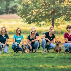Martin Rütter DOGS Würzburg / Main-Tauber-Kreis