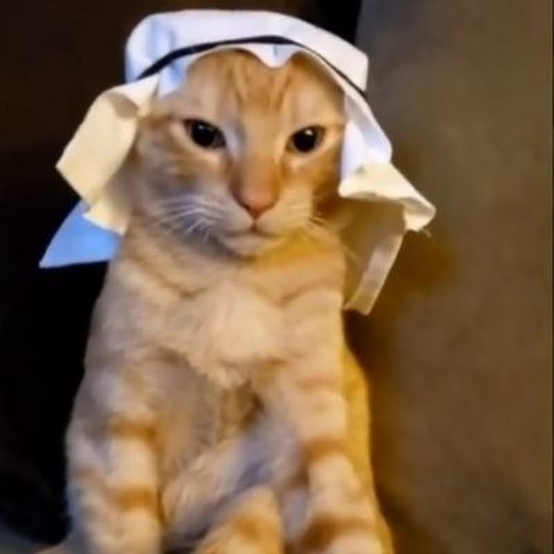 Sebah