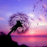 KwEbjnxi8zY-channel-avatar-Tranquil Melodies