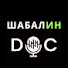 n2jHItAfJTs-channel-avatar-ШАБАЛИН DOC