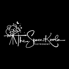 The Space Koala Avatar