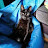 @DinkyDave's avatar
