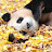 @bsdgbp.d3723