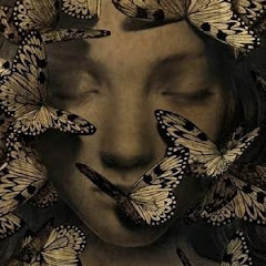 孤山游アイコン画像