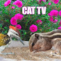 Cat TV Birds logo