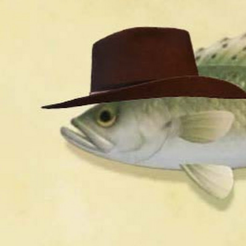 MagicSchoolBass