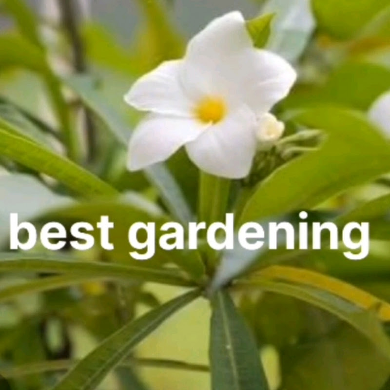 best gardening