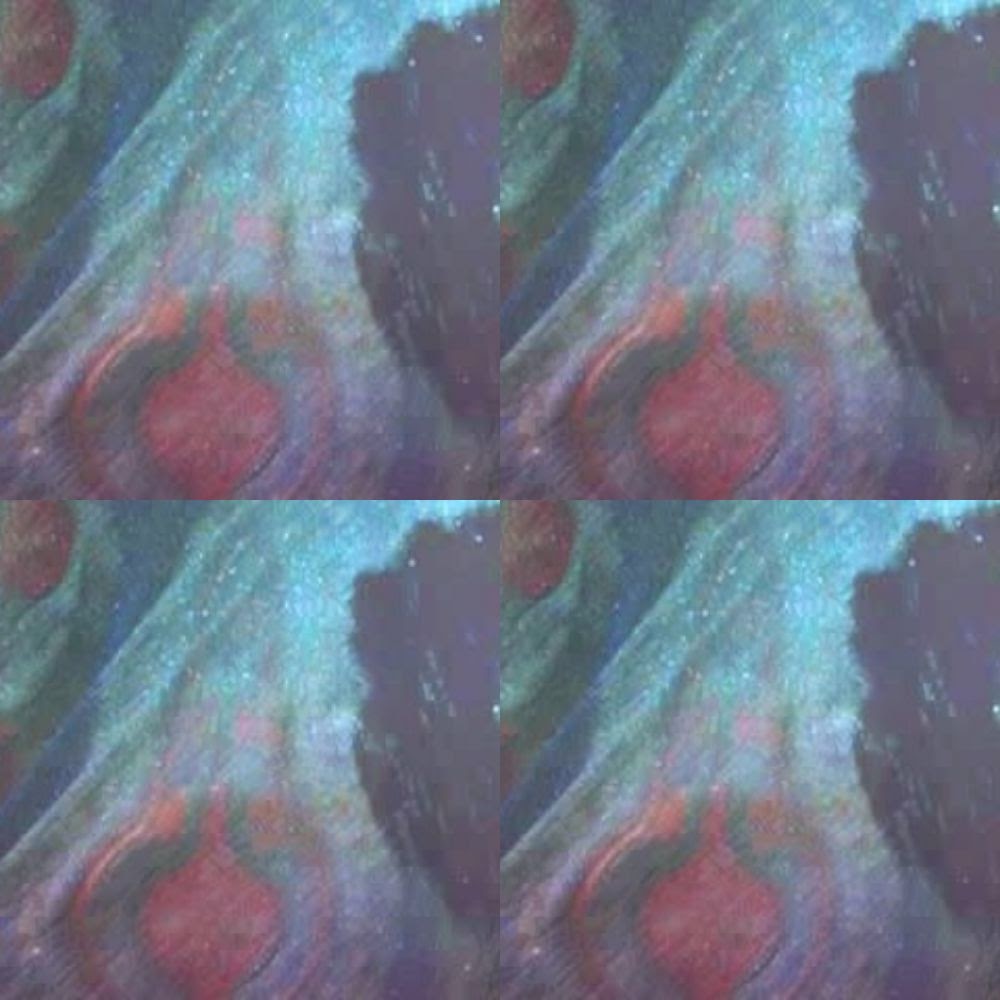 BEN LA DESH ✨💓✨💓