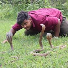 Channel thumbnail for sujay snake saver