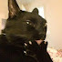 KJfjaAzE6_g-channel-avatar-Cat Rock