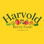 HARVOLD BERRY FARM logo