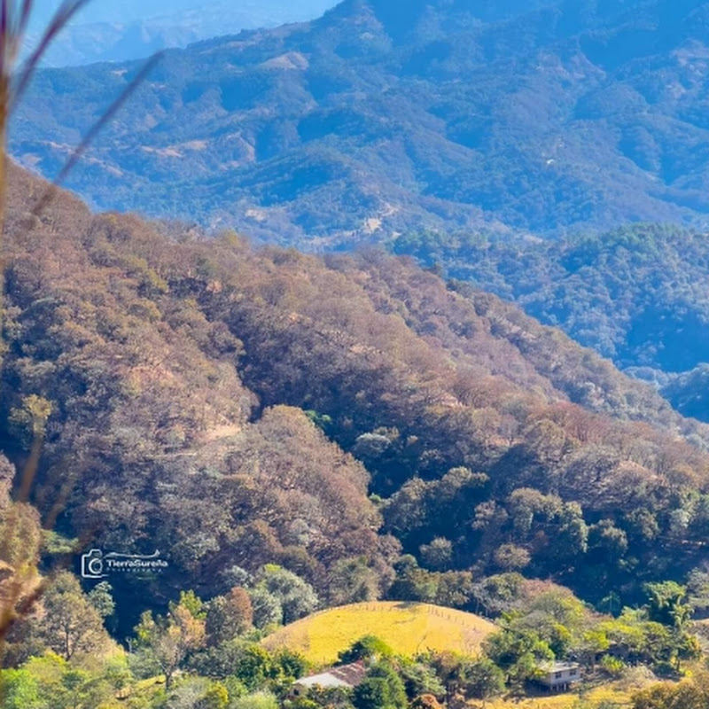 El chido 😎 👌 @un poco de todo