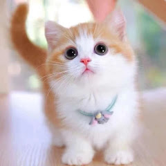 Userアイコン画像