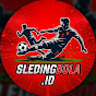 SledingBOLA