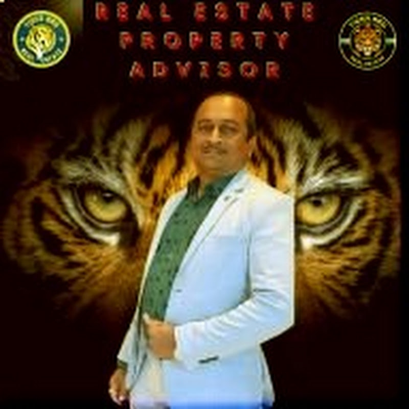 TIGER BBG (tiger big boy group) icon