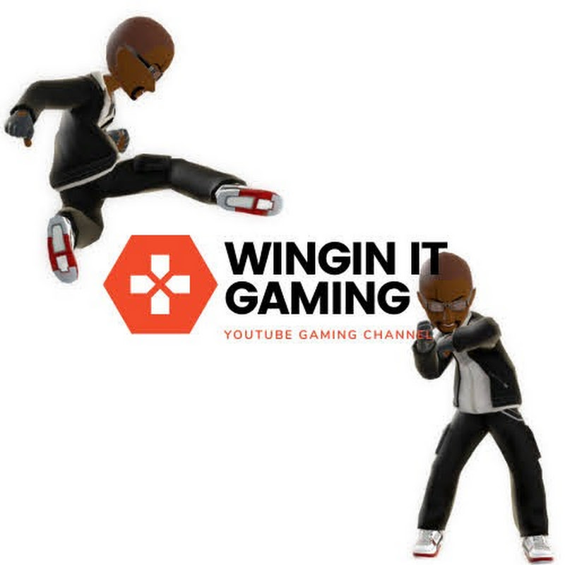 Wingin IT Gaming