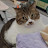 @ThyLe-t7i's avatar