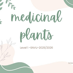 Dr. Ahmed Abd ElAziz Dewidar