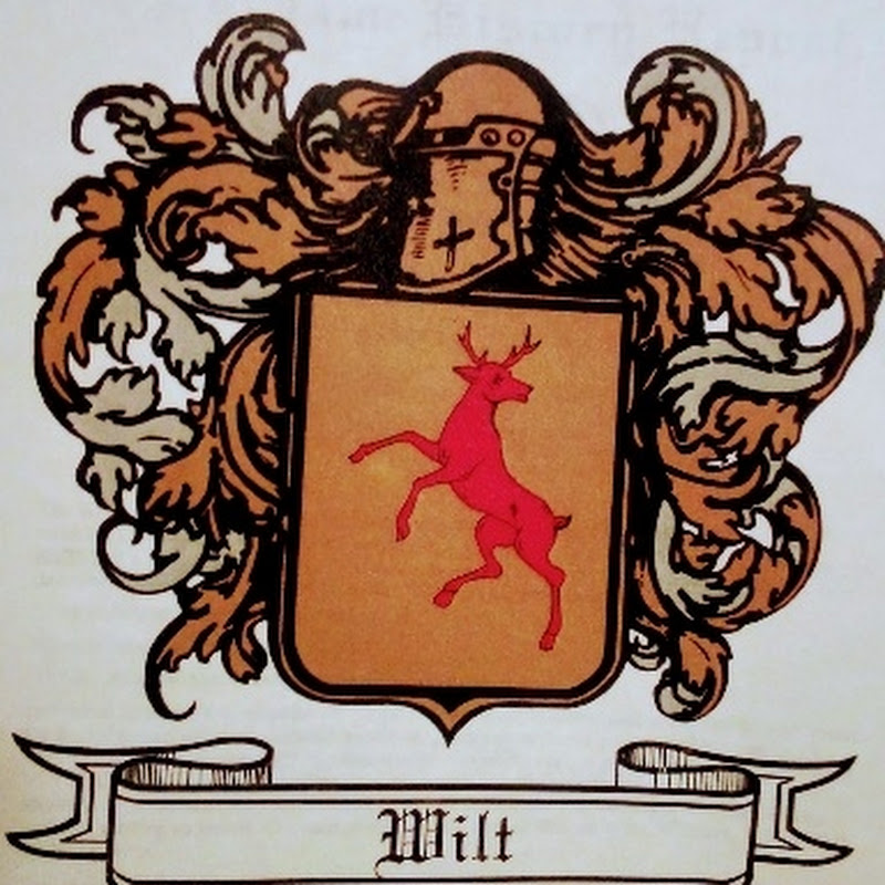GriffenDrago2 Gaming 