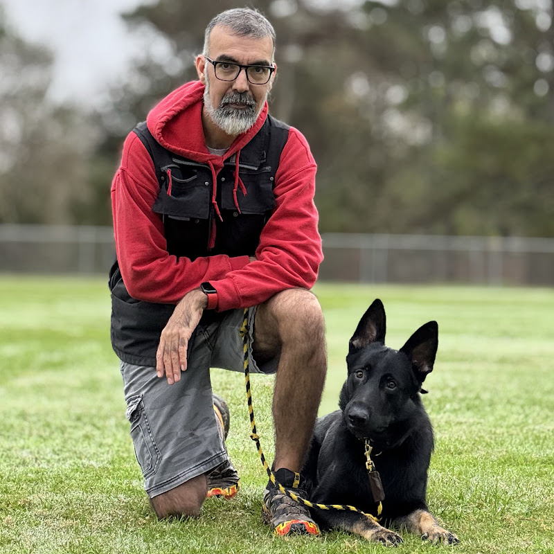Longoriahaus Dog Training