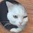 @오션바이러스