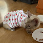 User404 Image Thumbnail