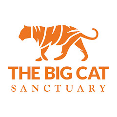 The Big Cat Sanctuary