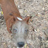 32LDrMyyMcM-channel-avatar-RGT Outdoors