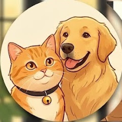 Sunshine & Furry Tales