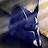 @SilverKnight16's avatar