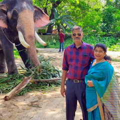 vetrin tamil channel thumbnail