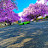 @Your_average_superveloce Avatar