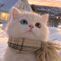 8bRfdZbIFqU-channel-avatar-小鹿Theater
