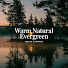 f8QHbaqVNS8-channel-avatar-Warm Natural Evergreen