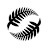 New Zealand Football