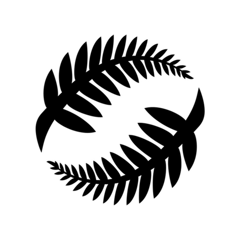 New Zealand Football profile avatar