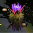 ANA8g5tyqaY-channel-avatar-uery